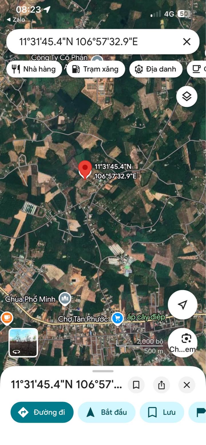 Đất nền Tân Phước Đồng Phú 240m² - Sổ hồng sẵn, giá đầu tư