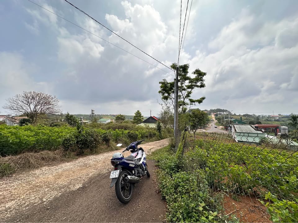 Đất Vàng Bảo Lộc - 310m² Thổ Cư, Sổ Hồng Riêng, Giá Hời 2 Tỷ