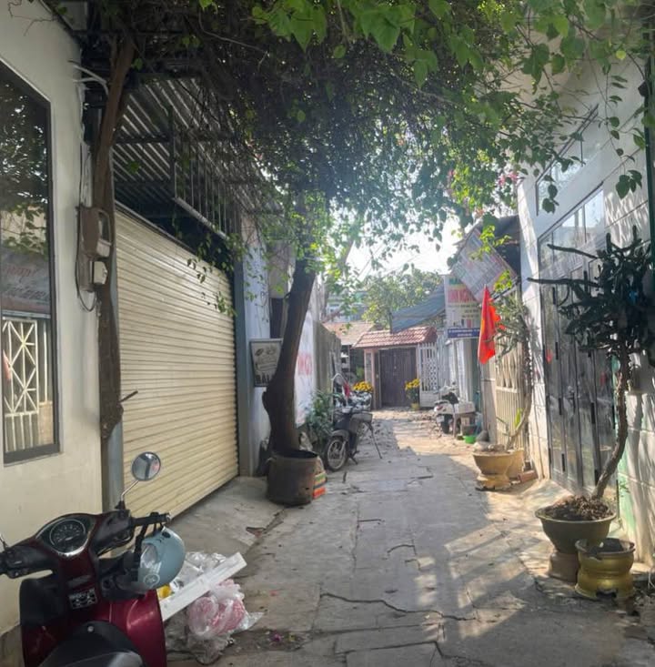 Nhà Riêng Kiệt Tố Hữu 50m² - Trung tâm Huế, giá 2,X tỷ hiếm có!