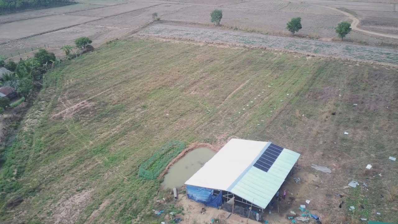 Bán Gấp 6ha Đất Vườn Ea Súp, Đắk Lắk - Sẵn Nhà, Chuồng Bò, Cây Ăn Trái