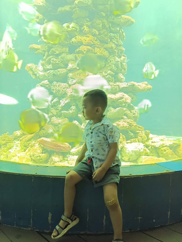 Nhà Đẹp Eapôk 130m² - Sổ Hồng Vuông Vắn, Giá 1.4 Tỷ