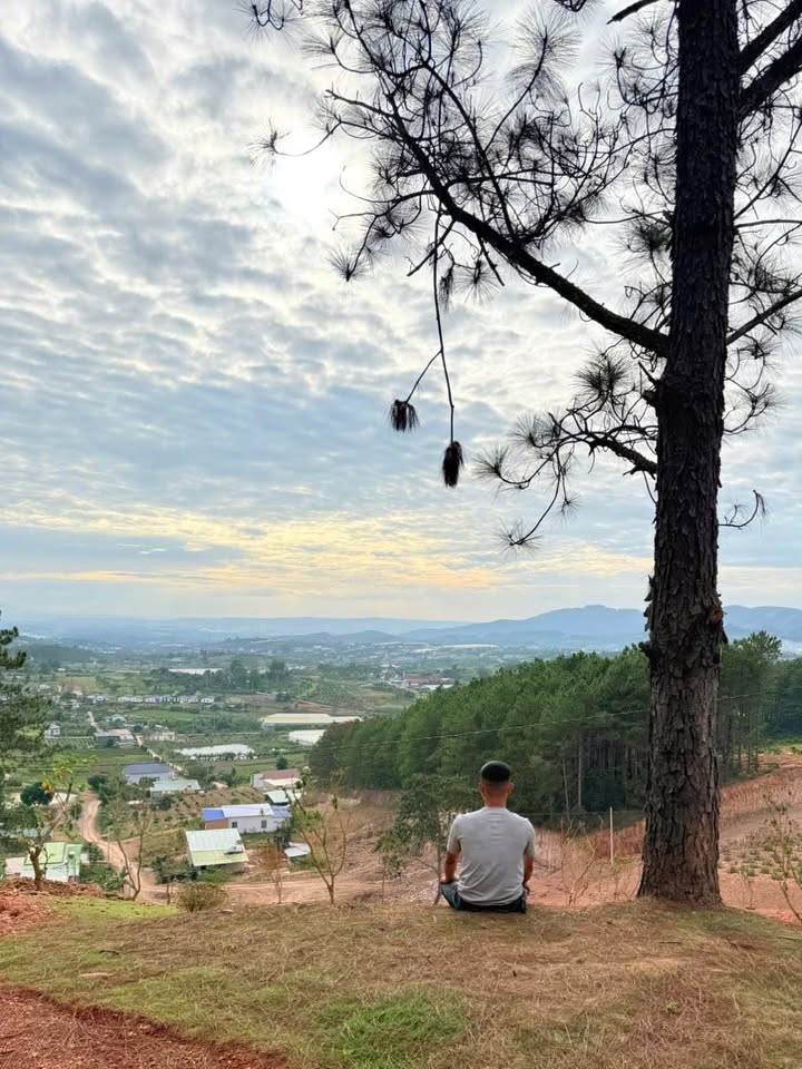 Đất Vườn Nam Ban Lâm Hà 1.2ha Giá 15 Tỷ - Tiềm Năng Tăng Giá Cao