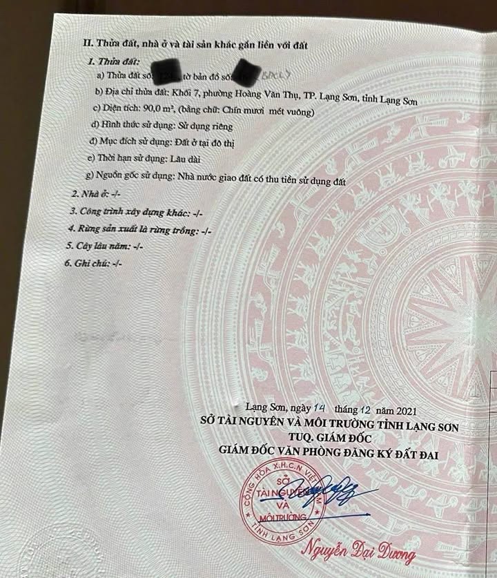 Nhà 3 Tầng Mặt Tiền Lý Thường Kiệt, Lộc Bình - Kinh Doanh Đắc Lợi 90m²