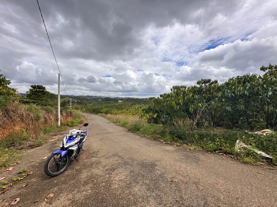 Đất Vườn Lộc Châu Bảo Lộc 720m² giá 1.99 tỷ - Sổ đỏ chính chủ, sẵn 2 lô!