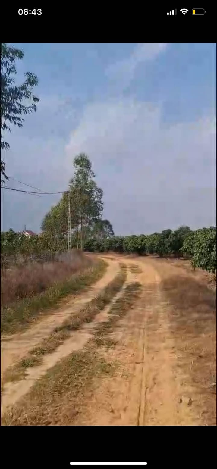 Đất vườn Mỹ An Chũ 7300m² - Nghỉ dưỡng lý tưởng, view suối cực đẹp!