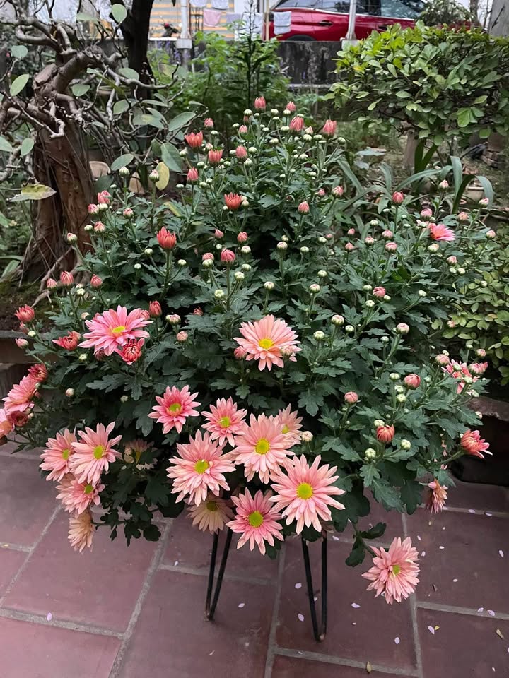 Nhà Cho Thuê Đường Trần Hưng Đạo, Vinh - Sẵn Sàng Cho Gia Đình