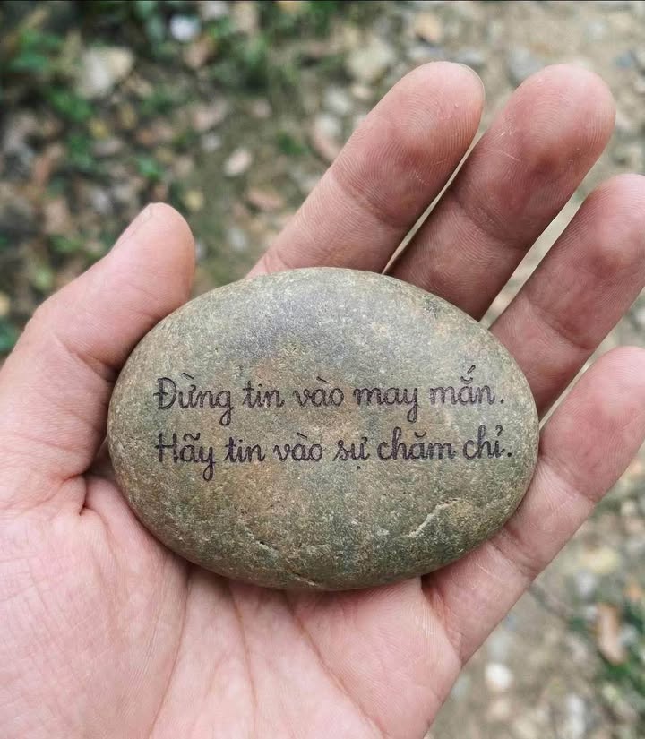 Đất nền Túc Duyên, Thái Nguyên 100m² - Sổ đỏ chính chủ, view vườn hoa