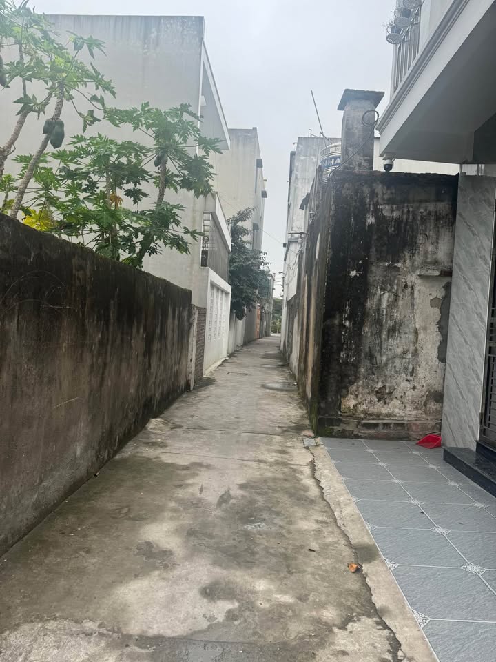 Đất nền Phú Xuân, P. Trần Hưng Đạo 48m² giá 1.2 tỷ - Sổ đỏ chính chủ!