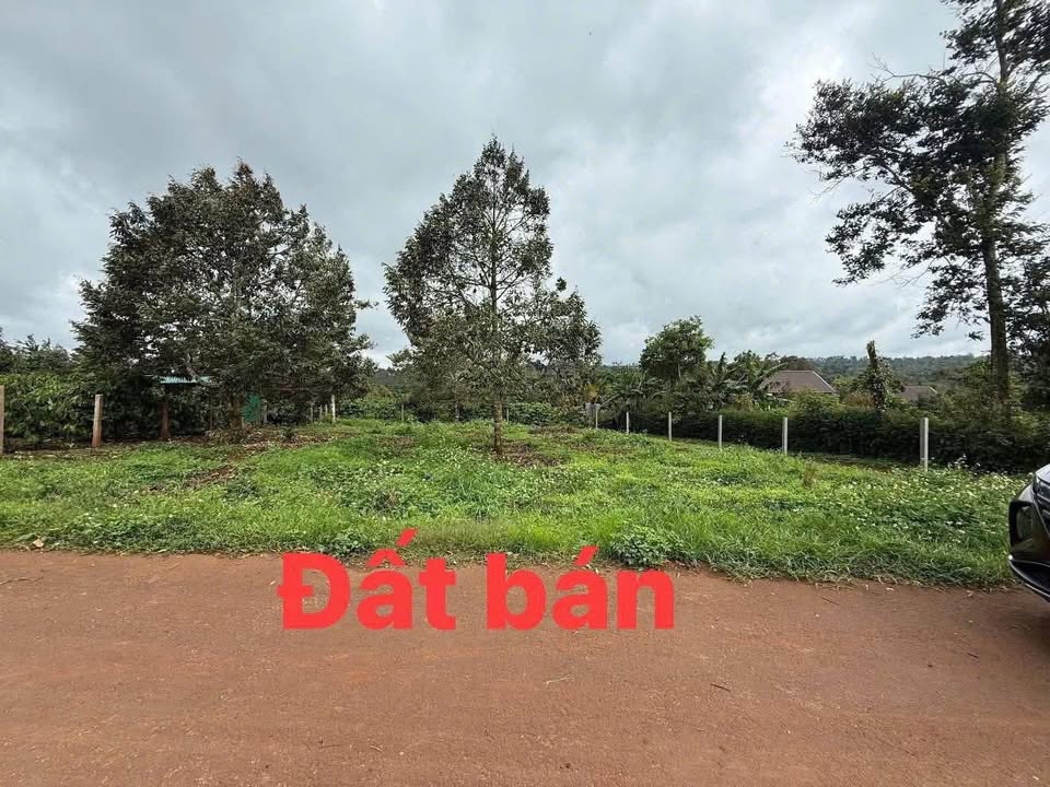 Đất Vườn Góc 2 Mặt Tiền Mạc Đăng Dung, Buôn Hồ 537m² - Chỉ 1.15 Tỷ