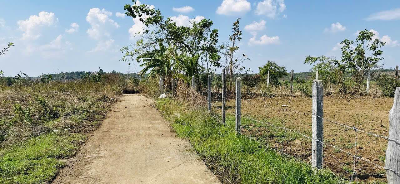 Đất Nền Sổ Đỏ 500m² Thôn 3 Cư ÊBur - Giá Đầu Tư 168 Triệu