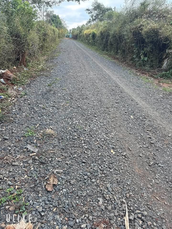 Đất nền Nguyễn Xuân Nguyên 601m² - Sổ hồng chính chủ, tiềm năng tăng giá!