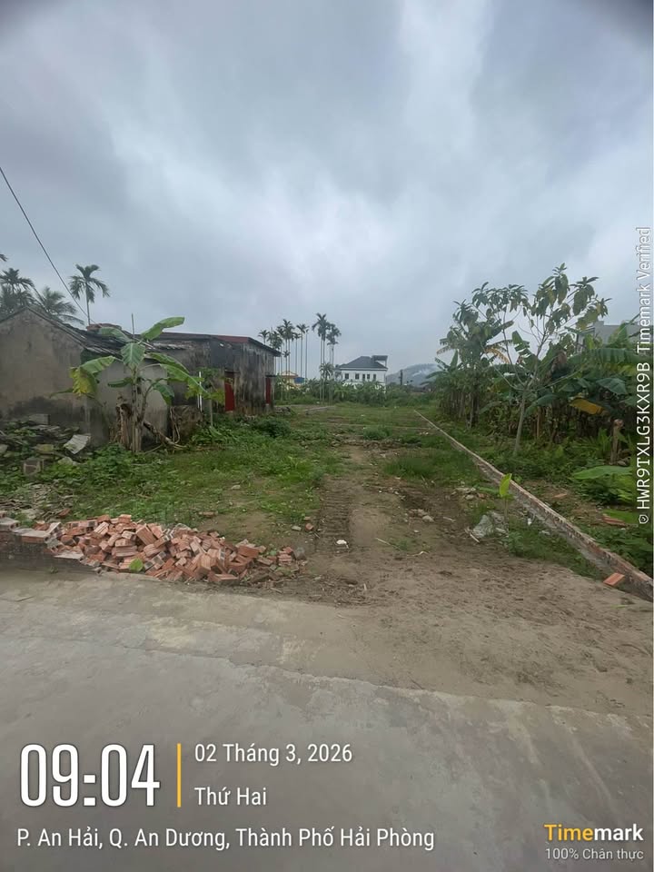 Đất nền Văn Xá An Dương 50m² chỉ 8xx triệu - Đường to ô tô!