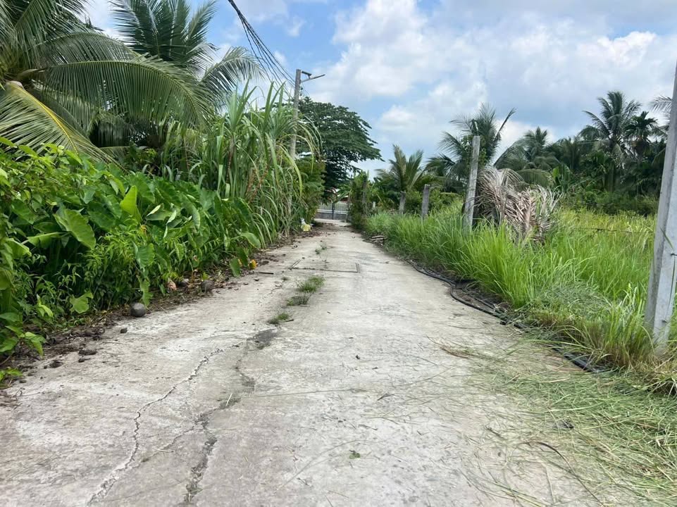 Đất Nền 115m² Đường Đồng Văn Công, Bến Tre - Giá 795 Triệu