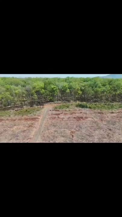 Đất vườn Chư Păh Gia Lai 5.3ha - Đầu tư dài hạn sinh lời cao