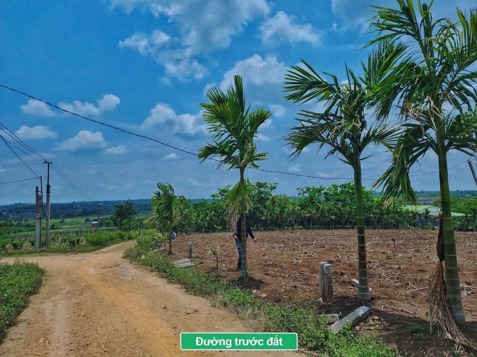 Đất Đắk Lắk 500m² Sổ Hồng - Sở hữu ngay chỉ 159 Triệu