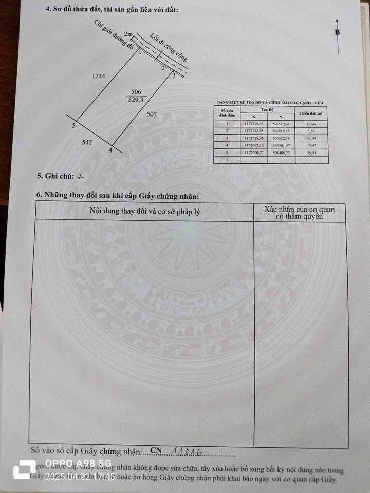 Đất Vườn Cần Giuộc 1000m² Sổ Hồng - 2 Lô Liền Kề Giá Tốt