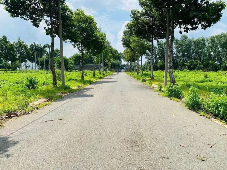 Đất Phường Phước Hưng, Bà Rịa 100m² - Sổ Hồng Riêng, Giá 1.17 Tỷ