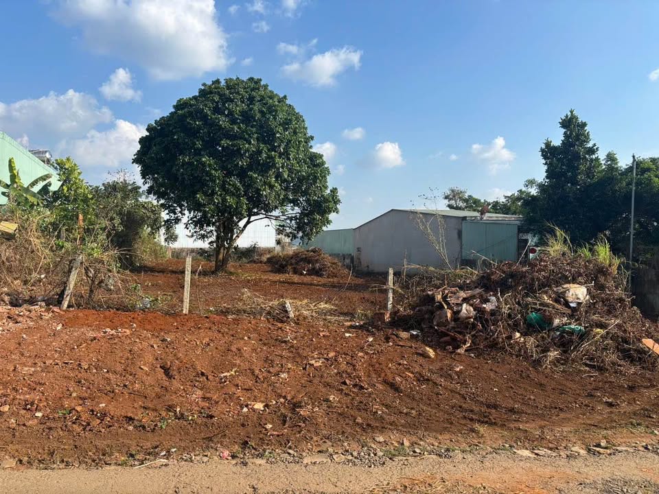 Bán Đất Vàng 708m² Hoàng Sa, Pleiku - Sổ Đỏ Sẵn Sàng