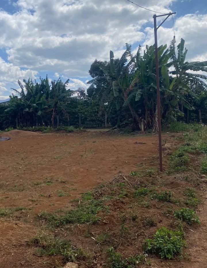 Bán Đất Thổ Cư Thị Trấn Di Linh 1300m² - Sẵn Sổ Hồng, Giá Chỉ 1 Tỷ