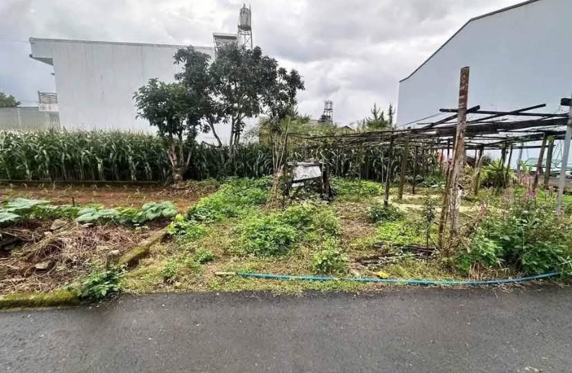 Đất Vàng 190m² Lộc Tiến, Bảo Lộc - Hẻm 402 Phan Đình Phùng, Giá 1.199 Tỷ