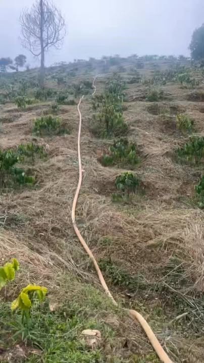 Đất vườn Lộc Bắc Bảo Lâm 3600m² - Sinh thái xanh, Sổ đỏ công chứng ngay!