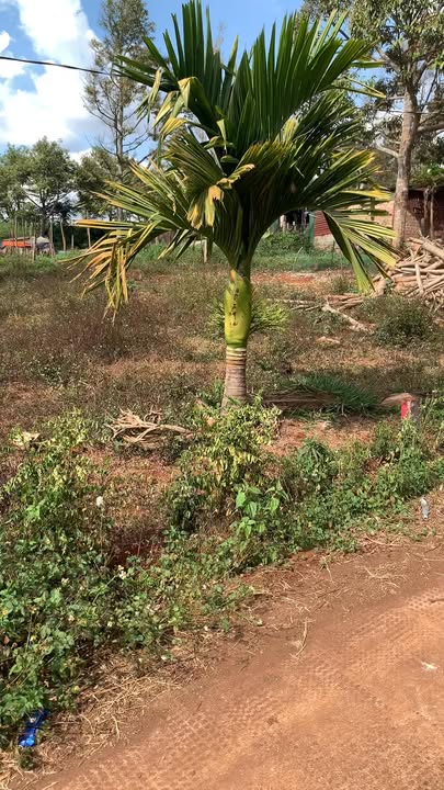 Đất nền Ngô Quyền Pleiku 135m² - Sổ đỏ chính chủ!