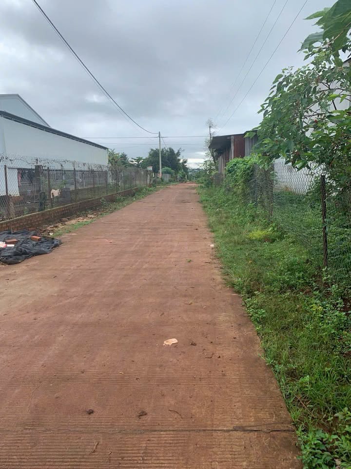 Đất Nền Làng Phung, Pleiku - 140m² Sổ Đỏ Sẵn Sàng