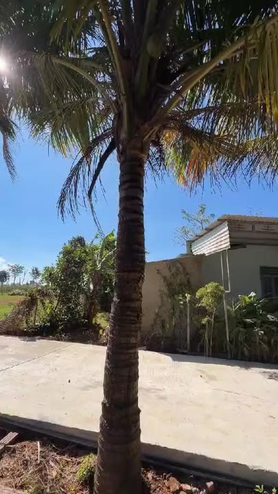 Đất vườn Ia Phìn Chư Prông 1440m² - View thiên nhiên cực chill!