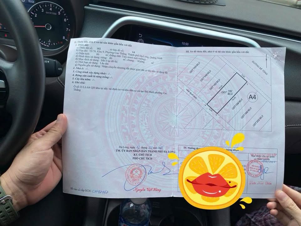 Đất TĐC Bãi Muối Hạ Long 80m² - Kinh Doanh Đắc Lợi, Sổ Đỏ Sẵn Sàng