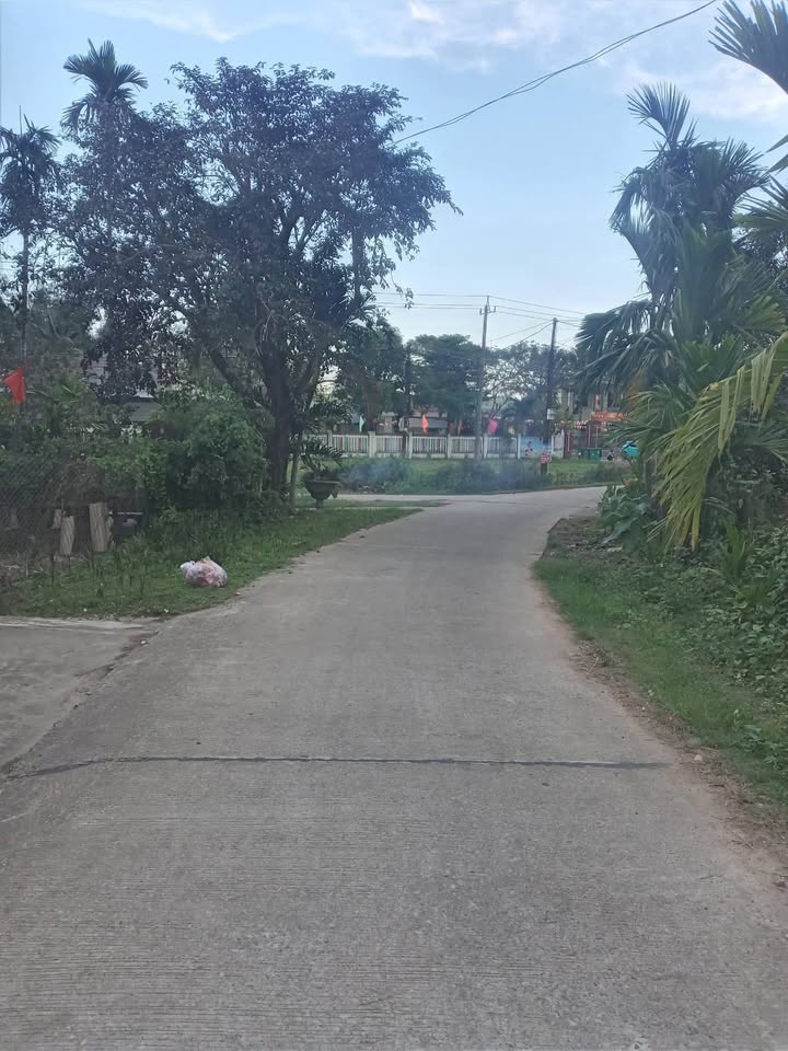 Đất Năng Tây 1, Tư Nghĩa: 100m² Sổ Đỏ, Gần Chợ Tre - Giá Tốt