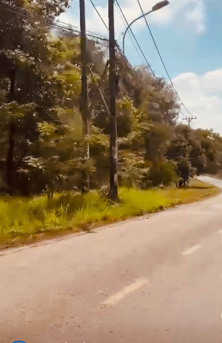 Bán 15ha Đất Dự Án Mặt Tiền Đường Nhựa Quận 9 - Giá Tốt Cho Nhà Đầu Tư