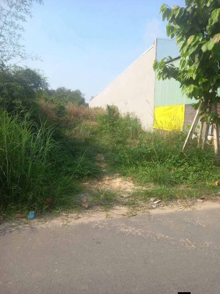 Đất nền Phú An, Bến Cát 1001m² - Sổ đỏ chính chủ!