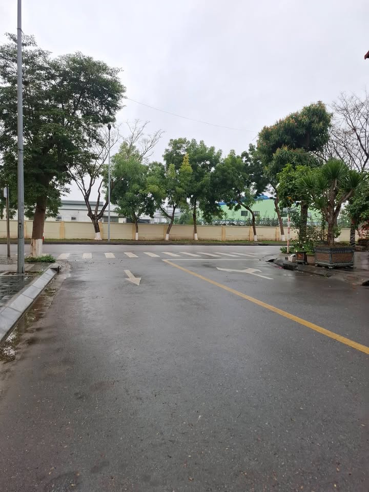 Nhà phố Đại An 1 Hải Dương 85.5m² - Mặt tiền kinh doanh đắc địa!