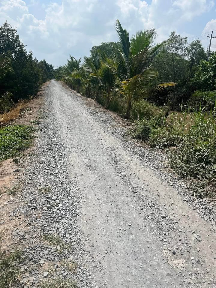 Bán Đất Vườn Xoài Đài Loan 2629m² Tặng Nhà Cấp 4 - Hồng Ngự, Đồng Tháp