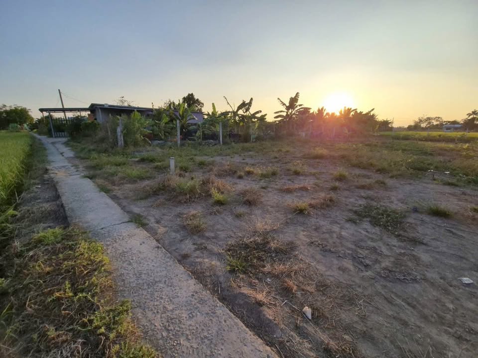 Đất nền Tân Lân, Cần Đước 150m² giá 450 triệu - Sổ đỏ chính chủ!