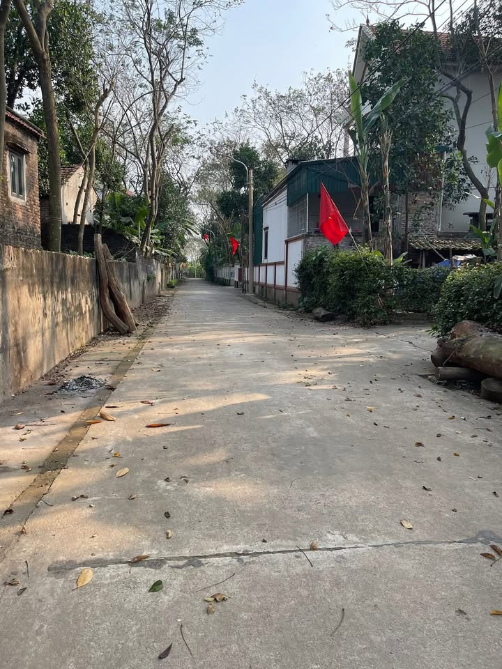 Đất Vĩnh Phúc 100m² Full Thổ Cư - Ngõ Rộng Ô Tô Tránh