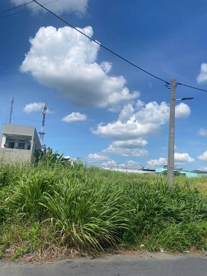 Đất nền Bến Lức 80m² - Sát chợ Nhựt Chánh, đầu tư sinh lời!