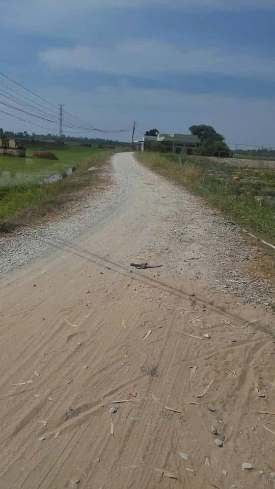 Đất Thổ Cư Tặng Nhà 255.9m² Sổ Đỏ - Ấp 4 Mỹ Phú, Thủ Thừa, Long An