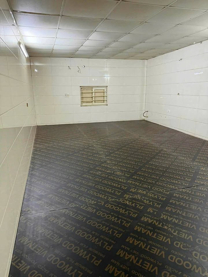 Cho thuê nhà mặt tiền Nguyên Trãi TP Vinh 85m² giá 8 triệu - Vị trí đắc địa kinh doanh!