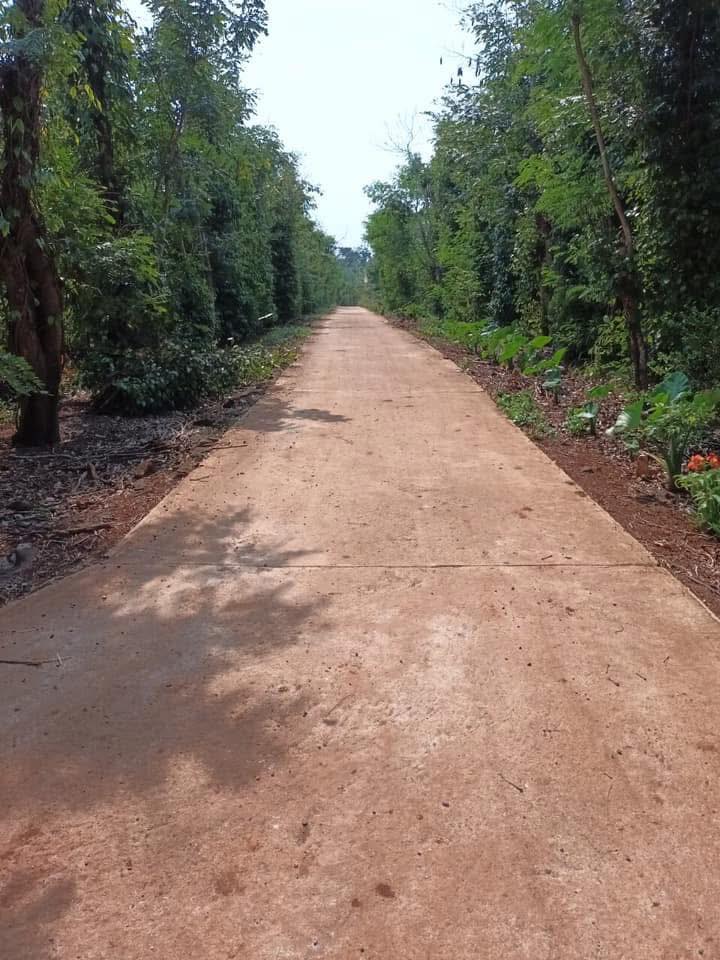 Đất Nông Nghiệp 1704m² Mặt Tiền Đẹp Xã Ea Kao, BMT - Sổ Đỏ Chính Chủ