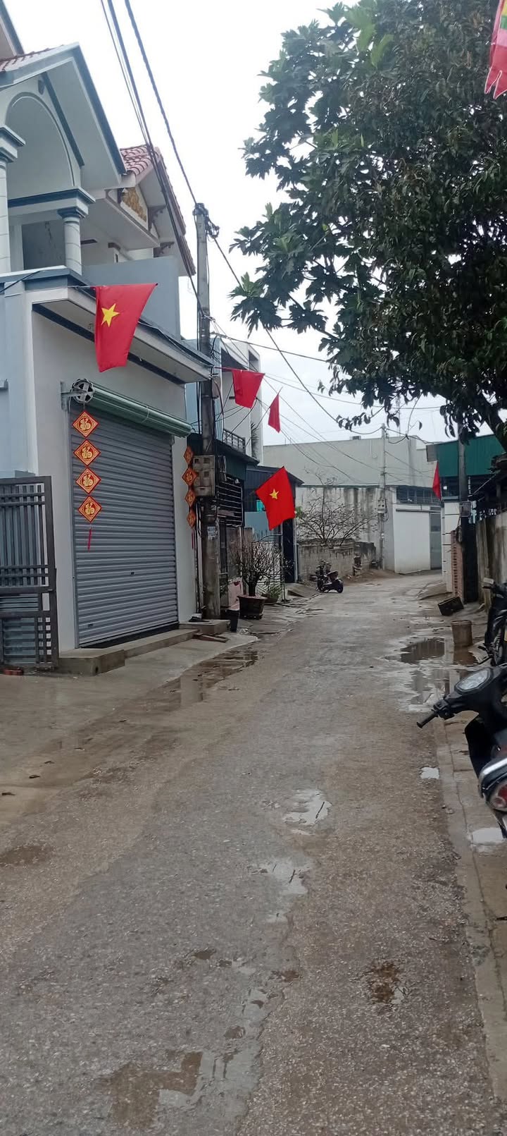 Bán Đất Nền Quảng Tiến Sầm Sơn 90m² - Mặt Đường Thông 6m, Hướng Đông