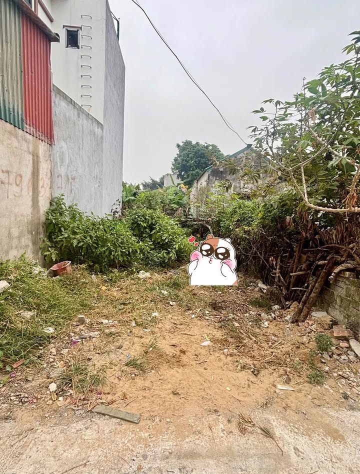 Đất Nền Trục Chính Đông Văn, Thanh Hóa - 123m² Sổ Đỏ, Giá 1.69 Tỷ