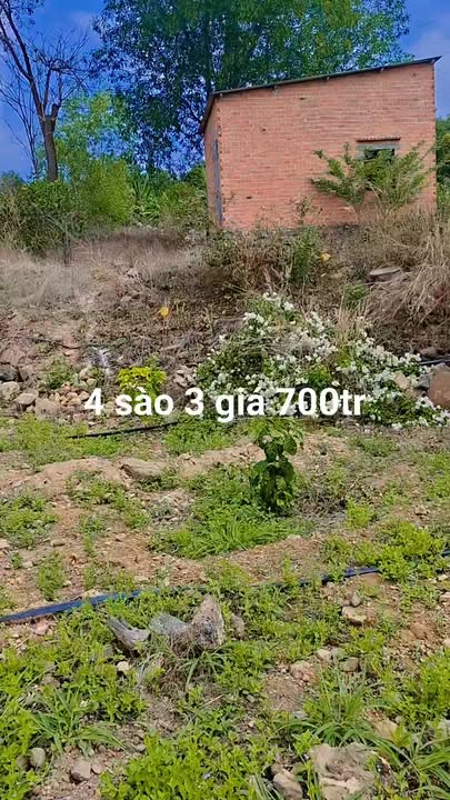 Đất vườn Buôn Đôn 700 triệu - View thiên nhiên cực chill!