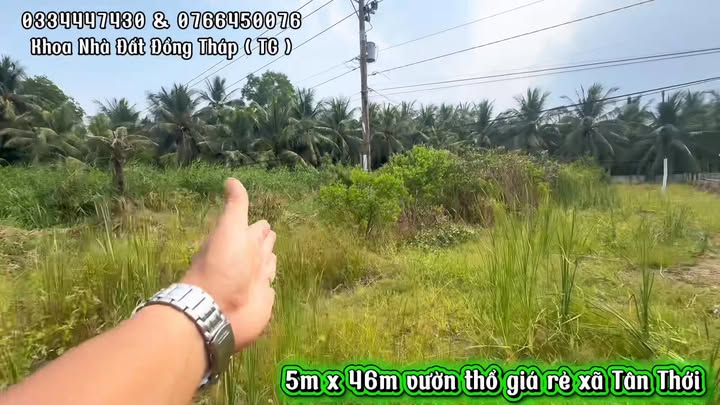 Đất nền Tân Thới, Tiền Giang - 234.5m² Sổ Hồng Riêng, Giá 250 Triệu