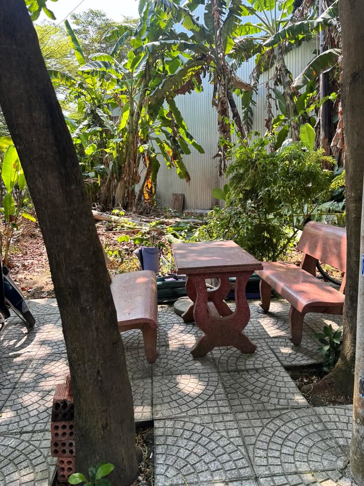 Đất nền 100m² kiệt ô tô Nguyễn Nhàn, Đà Nẵng - Sẵn sổ, giá 3.55 tỷ