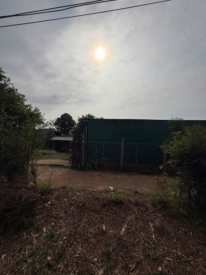 Đất nền Thôn 3 Ea Súp 95m² giá 1.39 tỷ - Tiềm năng tăng giá vượt trội!