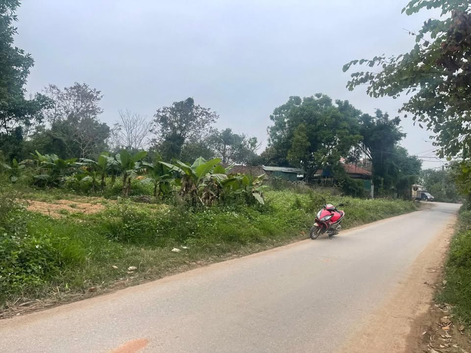 Đất nền Bàn Giản, Lập Thạch 140m² giá 1.7 tỷ - Tiềm năng tăng giá!