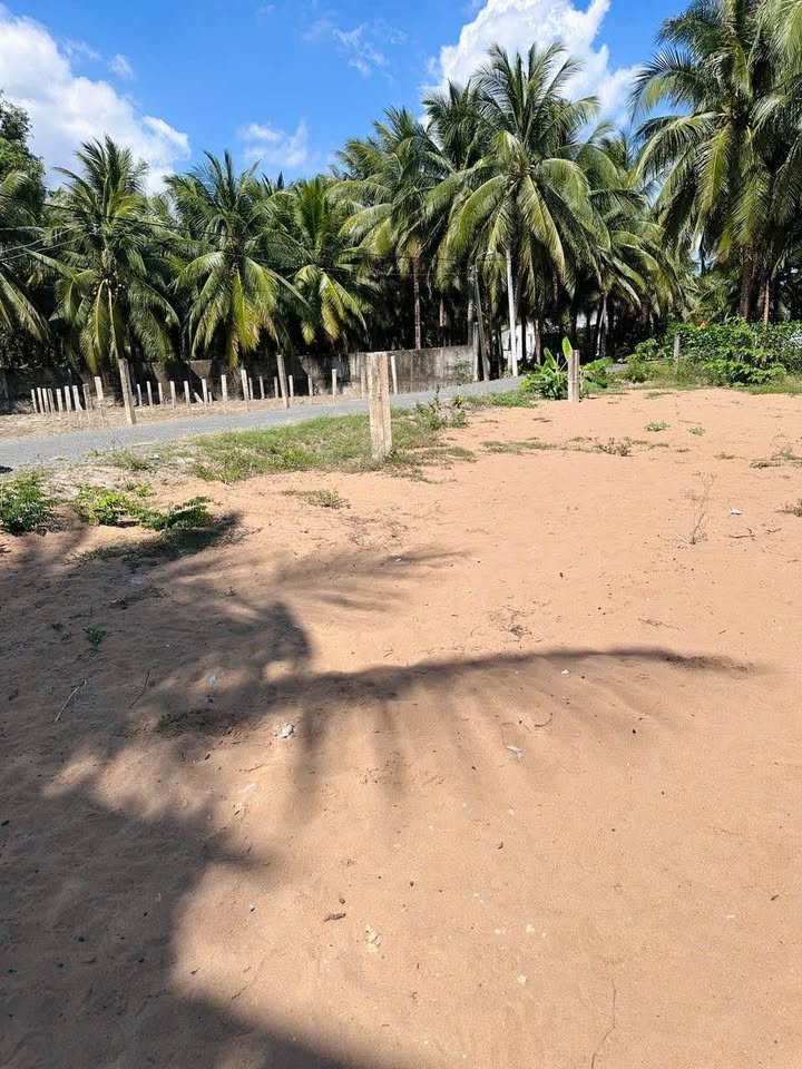 Bán đất thổ cư 150m² mặt tiền đường Đê Tây, Chợ Gạo - Giá chỉ 8xx triệu