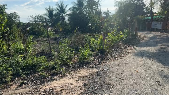 Đất nền Long Chữ, Bến Cầu 250m² - Pháp lý rõ ràng, giá đầu tư tốt!