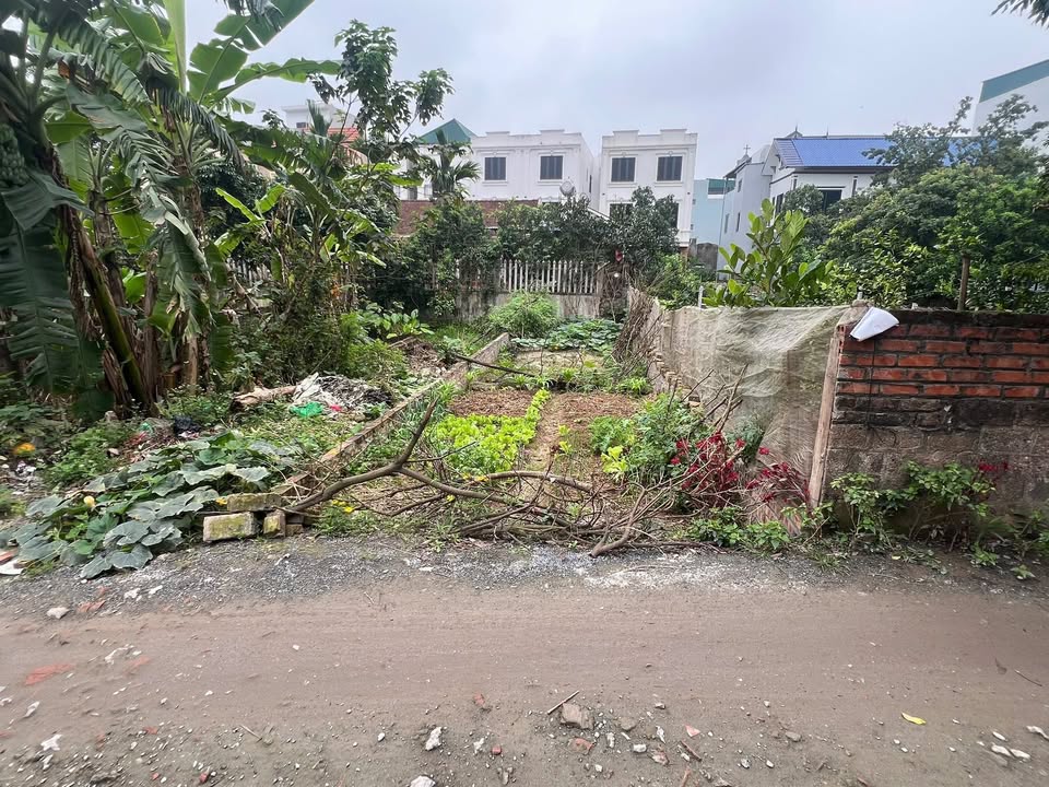 Đất Xã Tiên Phương, Chương Mỹ 61m² - Lô góc, đường 6m, giá tốt